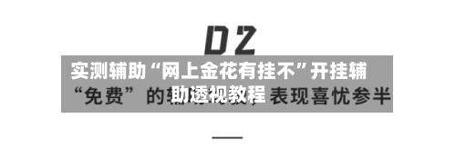 实测辅助“网上金花有挂不	”开挂辅助透视教程-第3张图片