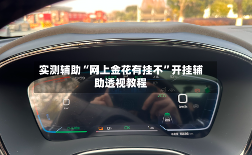 实测辅助“网上金花有挂不”开挂辅助透视教程-第2张图片
