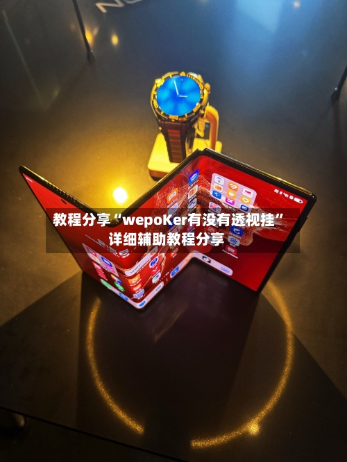教程分享“wepoKer有没有透视挂”详细辅助教程分享-第1张图片
