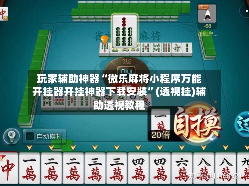玩家辅助神器“微乐麻将小程序万能开挂器开挂神器下载安装”(透视挂)辅助透视教程-第2张图片
