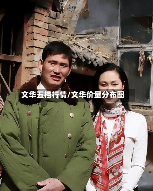 文华五档行情/文华价量分布图
