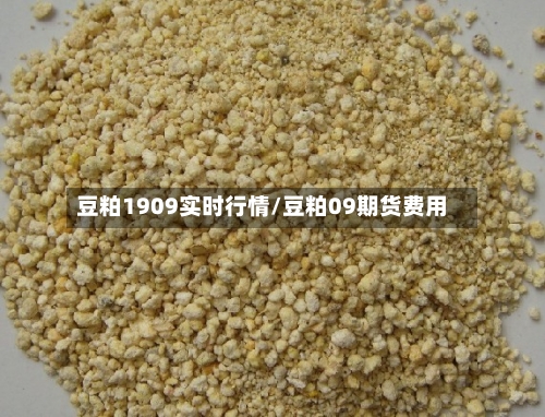 豆粕1909实时行情/豆粕09期货费用