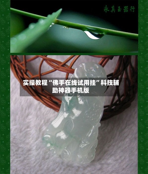 实操教程“佛手在线试用挂”科技辅助神器手机版-第2张图片