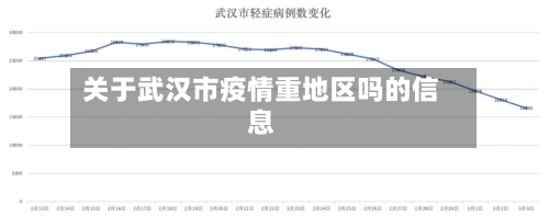 关于武汉市疫情重地区吗的信息