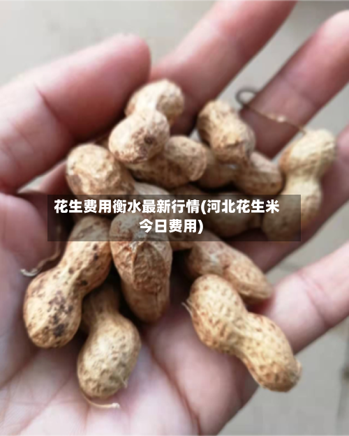 花生费用衡水最新行情(河北花生米今日费用)