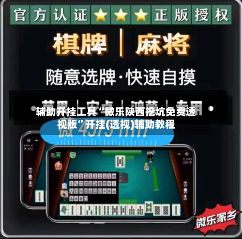 辅助开挂工具“微乐陕西挖坑免费透视版”开挂(透视)辅助教程