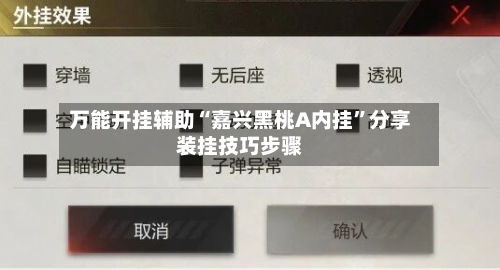 万能开挂辅助“嘉兴黑桃A内挂”分享装挂技巧步骤-第2张图片