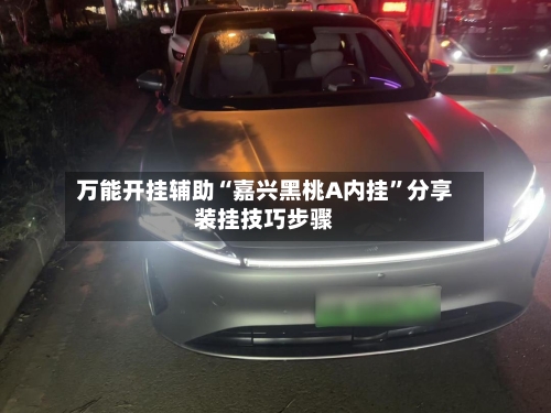 万能开挂辅助“嘉兴黑桃A内挂”分享装挂技巧步骤-第3张图片