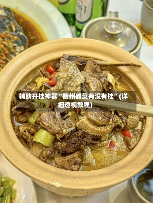 辅助开挂神器“衢州都菜有没有挂”(详细透视教程)-第2张图片
