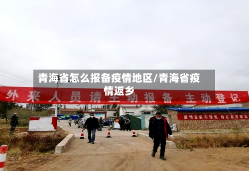青海省怎么报备疫情地区/青海省疫情返乡