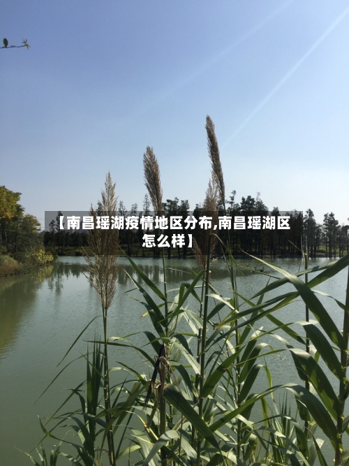 【南昌瑶湖疫情地区分布,南昌瑶湖区怎么样】-第2张图片