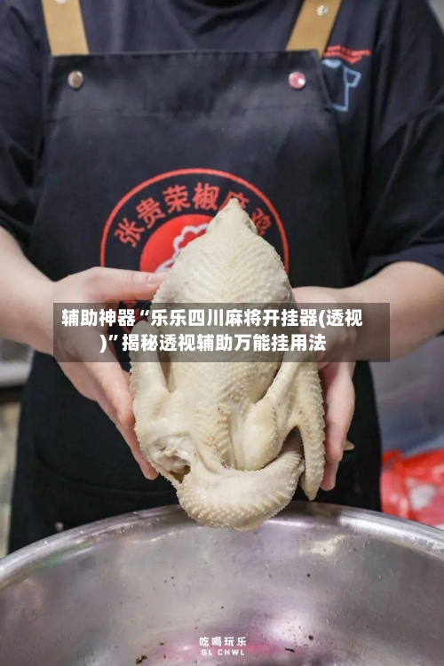 辅助神器“乐乐四川麻将开挂器(透视)”揭秘透视辅助万能挂用法-第2张图片