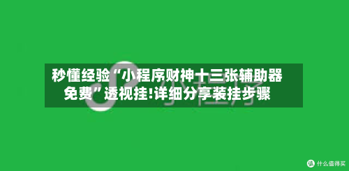 秒懂经验“小程序财神十三张辅助器免费”透视挂!详细分享装挂步骤-第3张图片