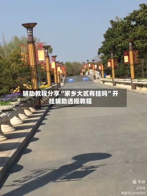 辅助教程分享“家乡大贰有挂吗”开挂辅助透视教程-第3张图片