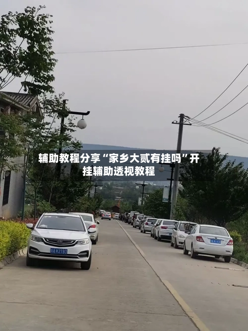 辅助教程分享“家乡大贰有挂吗”开挂辅助透视教程