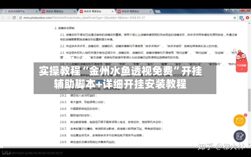 实操教程“金州水鱼透视免费	”开挂辅助脚本+详细开挂安装教程-第2张图片