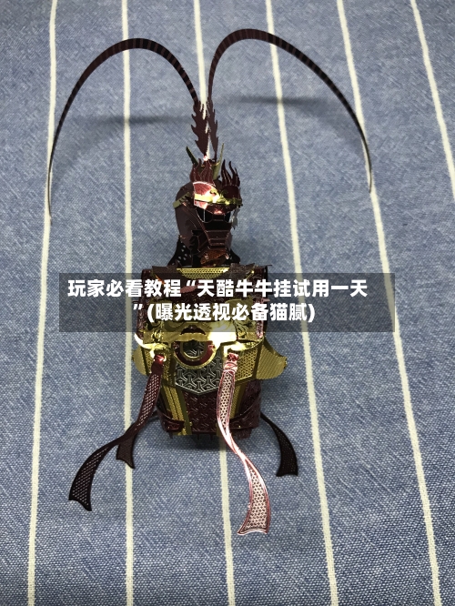 玩家必看教程“天酷牛牛挂试用一天”(曝光透视必备猫腻)