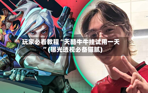 玩家必看教程“天酷牛牛挂试用一天”(曝光透视必备猫腻)-第3张图片