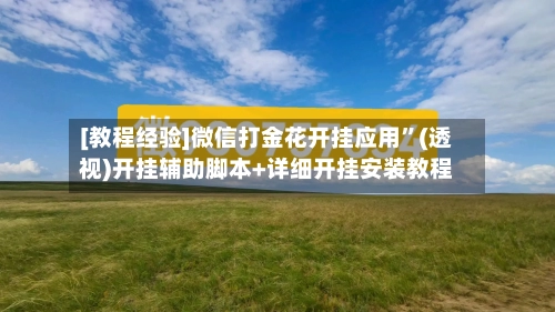 [教程经验]微信打金花开挂应用”(透视)开挂辅助脚本+详细开挂安装教程-第2张图片