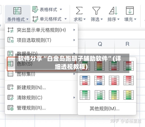 软件分享“白金岛跑胡子辅助软件”(详细透视教程)-第2张图片