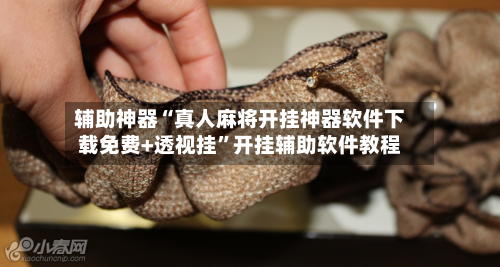 辅助神器“真人麻将开挂神器软件下载免费+透视挂”开挂辅助软件教程
