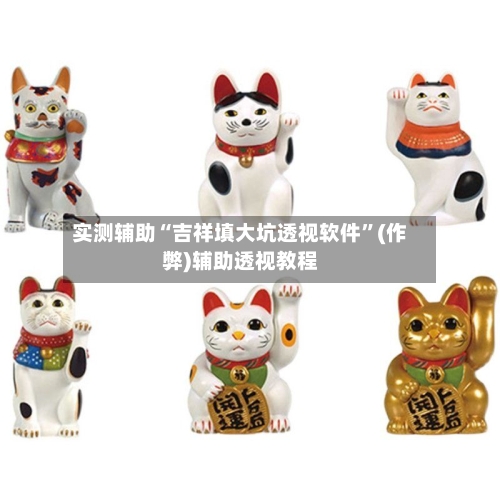 实测辅助“吉祥填大坑透视软件	”(作弊)辅助透视教程-第3张图片
