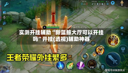 实测开挂辅助“新蓝鲸大厅可以开挂吗”开挂(透视)辅助神器-第3张图片