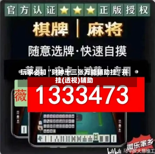 玩家必知“财神十三张万能辅助挂”开挂(透视)辅助-第2张图片