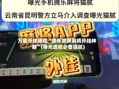 万能开挂辅助“微乐湖南麻将开挂神器”(曝光透视必备猫腻)-第2张图片