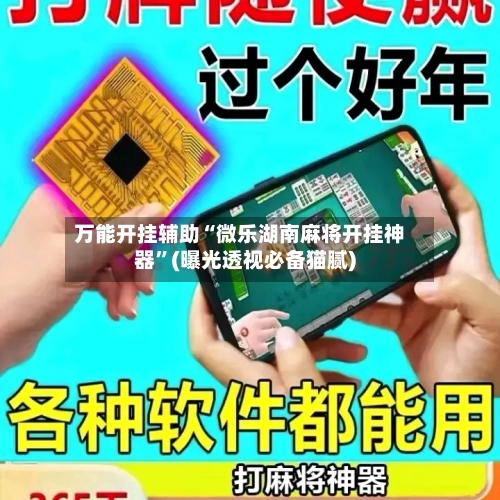 万能开挂辅助“微乐湖南麻将开挂神器	”(曝光透视必备猫腻)-第3张图片