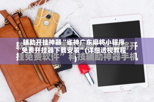 辅助开挂神器“雀神广东麻将小程序免费开挂器下载安装”(详细透视教程)-第2张图片