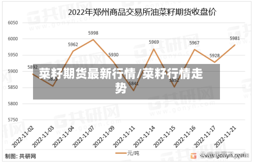 菜籽期货最新行情/菜籽行情走势