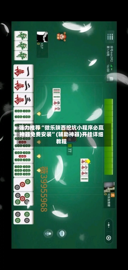 强力推荐“微乐陕西挖坑小程序必赢神器免费安装	”(辅助神器)开挂详细教程-第2张图片