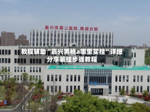 教程辅助“嘉兴黑桃a哪里买挂”详细分享装挂步骤教程-第3张图片