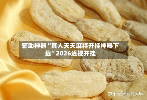 辅助神器“真人天天麻将开挂神器下载	”2026透视开挂-第2张图片