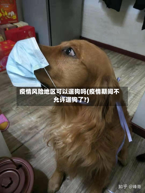 疫情风险地区可以遛狗吗(疫情期间不允许遛狗了?)-第2张图片