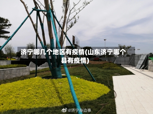 济宁哪几个地区有疫情(山东济宁哪个县有疫情)-第3张图片