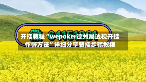 开挂教程“wepoker德州局透视开挂作弊方法”详细分享装挂步骤教程-第2张图片