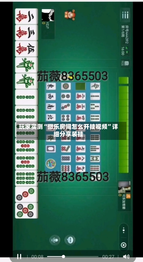 玩家实测“微乐房间怎么开挂视频	”详细分享装挂-第2张图片