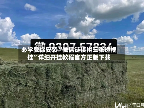 必学教你安装“微信链接拼三张透视挂”详细开挂教程官方正版下载-第2张图片