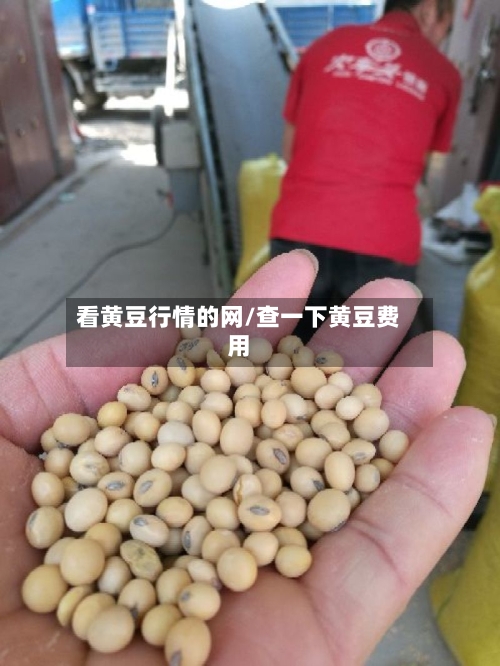 看黄豆行情的网/查一下黄豆费用