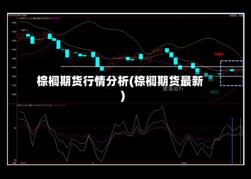 棕榈期货行情分析(棕榈期货最新)