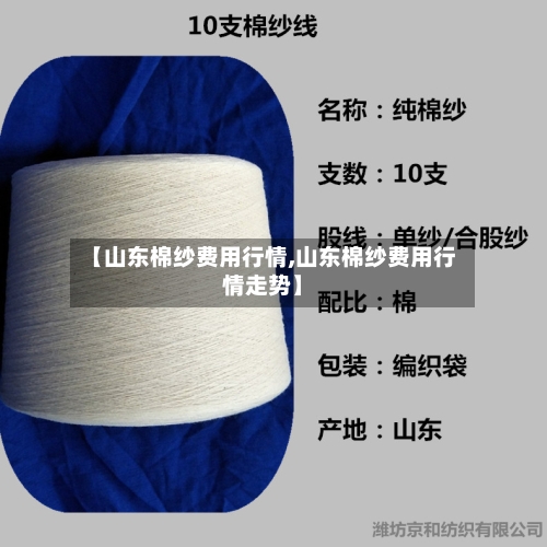 【山东棉纱费用行情,山东棉纱费用行情走势】-第2张图片