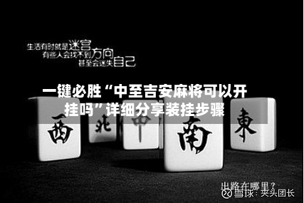 一键必胜“中至吉安麻将可以开挂吗”详细分享装挂步骤-第3张图片