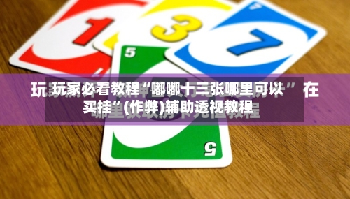 玩家必看教程“嘟嘟十三张哪里可以买挂	”(作弊)辅助透视教程-第3张图片