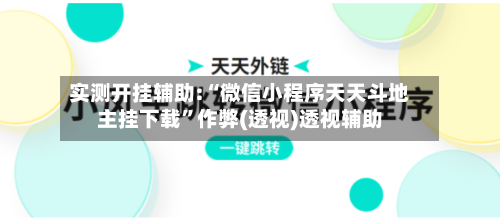 实测开挂辅助:“微信小程序天天斗地主挂下载”作弊(透视)透视辅助-第2张图片