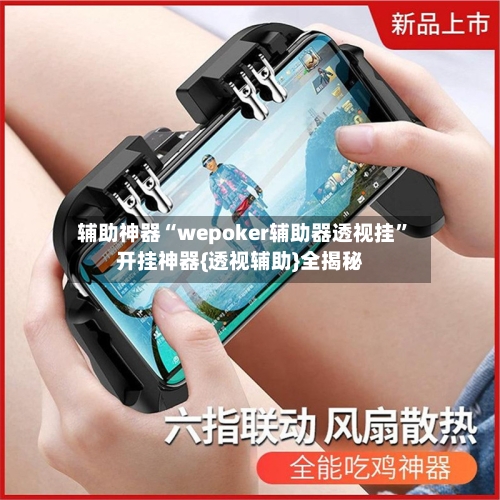 辅助神器“wepoker辅助器透视挂”开挂神器{透视辅助}全揭秘