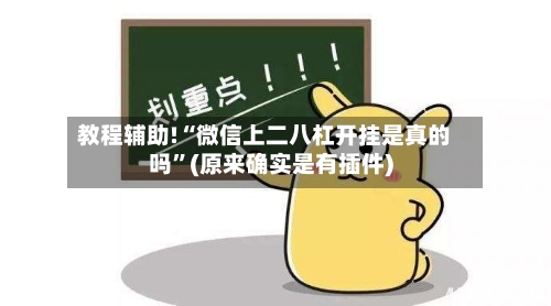 教程辅助!“微信上二八杠开挂是真的吗”(原来确实是有插件)-第3张图片