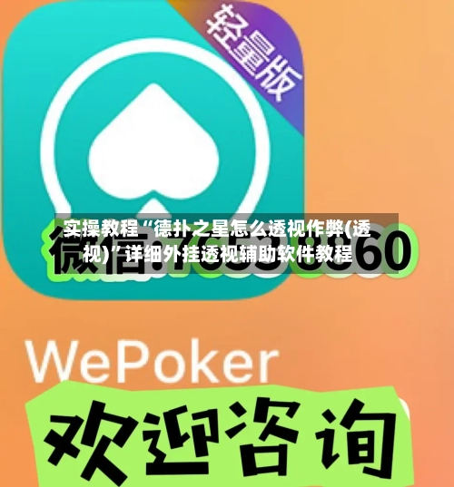 实操教程“德扑之星怎么透视作弊(透视)”详细外挂透视辅助软件教程-第3张图片