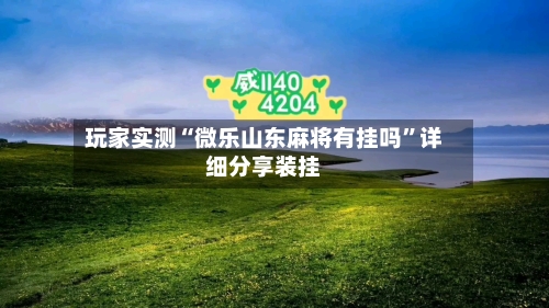 玩家实测“微乐山东麻将有挂吗”详细分享装挂-第2张图片